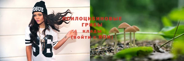 apvp Михайловка