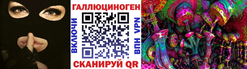 Купить закладки  Вязники  Галлюциногенные грибы Psilocybe 